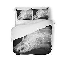 Duvet Cover Set King Size X Ray of The Skull Large Dog Side View 3 Piece Microfiber Fabric Decor Bedding Sets for Bedroom