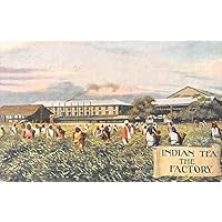 Advertising Post Card Indian Tea the Factory Clean Manufacture of Tea Writing on back