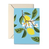 Lemon Tree Note Cards Box of 10