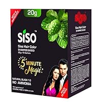 Permanent Hair Color (20g) Pack of 10 - Natural Black, 100% Grey Coverage with Herbal Extracts, 0% Ammonia & Silicone