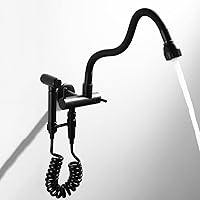 Faucets,Kitchen Sink Taps Wall Mounted Cold Water Only Kitchen Tap Black Sink Tap with Spray Gun Swivel Brass Wall Mounted Taps