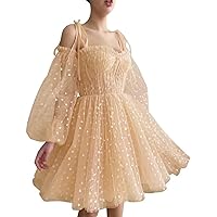 Heart Tulle Prom Dress Short Sweetheart Puffy Sleeve Homecoming Dresses for Teens