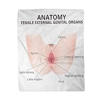 60x80 Inches Flannel Throw Blanket Vulva The Structure of Female External Genitalia Medical Anatomy Home Decorative Warm Cozy Soft Blanket for Couch Sofa Bed