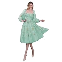 Women's Puffy Sleeve Tulle Prom Dresses Flower Embroidery Ball Gowns V Neck Formal Evening Party Dress