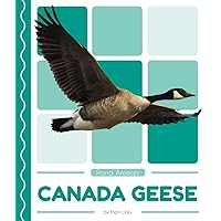 Canada Geese (Pond Animals (Set of 8)) Canada Geese (Pond Animals (Set of 8)) Paperback Library Binding