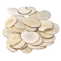 Tagua Beads. Organic, Natural, 20 Beige Tagua Slices, Beads, Chips from Colombia. 3x2.5 cm. Approx. Undrilled