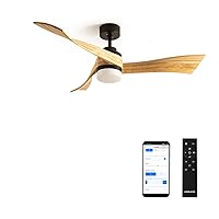 CREATE / Wind Curve / Ceiling Fan Black Natural Wood Wings with Lighting, WLAN and Remote Control / 40 W, Quiet, Diameter 132 cm, 6 Speeds, Timer, DC Motor, Summer Winter Operation