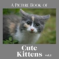 A Picture Book of Cute Kittens Vol. 1: A Gift for Alzheimer’s Patients and Seniors with Dementia - Cute Animal Photos (Full Color No Text) (No Text Picture Books for Seniors)