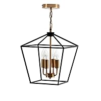 CHCDP American Country Dining Room Bedroom Staircase Creative Black Retro Iron Birdcage Living Room Chandelier Lamps