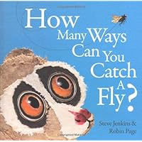 How Many Ways Can You Catch a Fly? How Many Ways Can You Catch a Fly? Hardcover