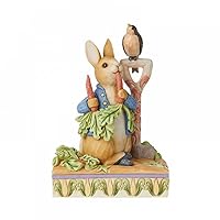 Enesco Jim Shore Heartwood Creek Peter Rabbit in Garden Figurine, Floppy Brown