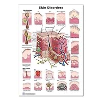 Blue Tree Publishing Skin Disorders Poster, size 24Wx36T