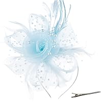 DRESHOW Fascinators Hat Flower Mesh Ribbons Feathers on a Headband and a Clip Tea Party Headwear for Girls and Women