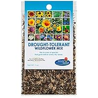 Drought Resistant Wildflower Seeds - 1oz, Open-Pollinated Bulk Flower Seed Mix for Beautiful Perennial, Annual Garden Flowers - No Fillers - 1 oz Packet Sell by Dec 2024