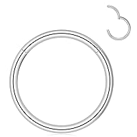 Yolev 2 pcs Hinged Nose Rings Hoops 8mm 316L Surgical Steel Seamless Hinged Nose for Women Men Stainless Steel Nose Ring Hoop Nose Piercing Jewelry Stainless Steel