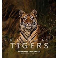 Remembering Tigers
