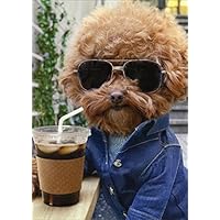 Cool Dog with Coffee Avanti Humorous/Funny Birthday Card