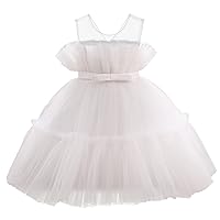 Flower Baby Girl Lace Dress Toddler Tulle Sleeveless Bow Princess Party Wedding Pageant Bridesmaid (0-6T)