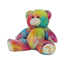 Record Your Own Plush 16 Inch Rainbow Bear - Ready 2 Love in a Few Easy Steps
