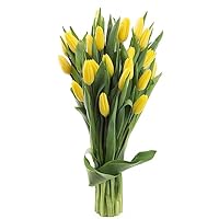 PRIME OVERNIGHT DELIVERY - Mother’s Day Collection - PREMIUM 20 Yellow Tulips - Farm Fresh Cut Flowers .Gift for Birthday, Easter, Mother’s Day Fresh Flowers