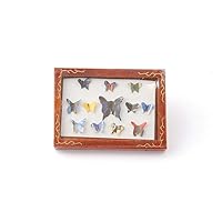 Dolls House Butterfly Display Box Collage Picture Frame Ornament Accessory 1:12