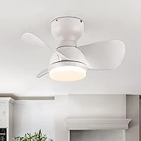 EKIZNSN 22 Inch Small Ceiling Fan with Lights for Bedroom, Low Profile Ceiling Fan, Flush Mount Ceiling Fan, White