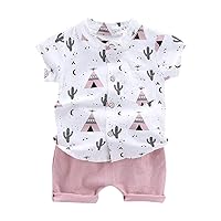 6 Month Old Summer Clothes Cartoon Set Clothes Tops+Shorts Infant Summer 1-4Years Boys Baby Boys 4 (Pink, 18-24 Months)