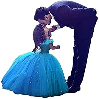 Girls Blue Cinderella Tulle Princess Ball Gowns Kids Pageant Communion Girls Dresses