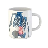 Coffee Mug Spinal Cord Lumbar Vertebrae Part of Human Skeleton Anatomy 11 Oz Ceramic Tea Cup Mugs Best Gift Or Souvenir For Family Friends Coworkers