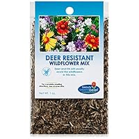Deer Resistant Wildflower Seeds - 1oz, Open-Pollinated Wildflower Seed Mix Packet, No Fillers, Annual, Perennial Wildflower Seeds for Planting - 1 oz