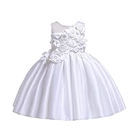 Girls Princess Dress Kids Flower Lace Pageant Birthday Party Wedding Dresses for 3-10 Years