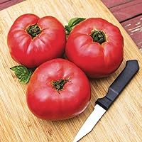 Pruden's Purple Tomato 20 Seeds Made in USA New