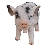 Standing Baby Pig with black Spots