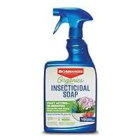 BioAdvanced Organics Brand Insecticidal Soap, Ready-to-Use, 24 oz