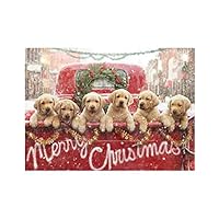 Christmas Cards, All The Love Your Heart Can Hold, 10 Count (701240)