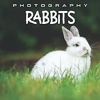 A Picture Book Of Rabbit: An Amazing Collection With Compelling Photos Of Rabbit To Give On Thanks Giving, Christmas, New Year, And So On