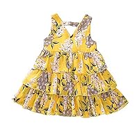Toddler Girl Ruffle Sleeveless Flower Print Casual Dress 2T-4T