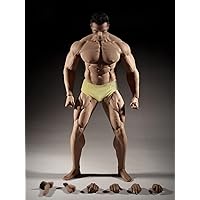 HiPlay 1/6 Scale Male Action Figure, 12 Inch Jointed-Figure Muscle Body  with Neck, Suntan Skin B006/B007 (B006 (Standard Body 27.5cm))