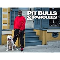Pit Bulls & Parolees - Season 15