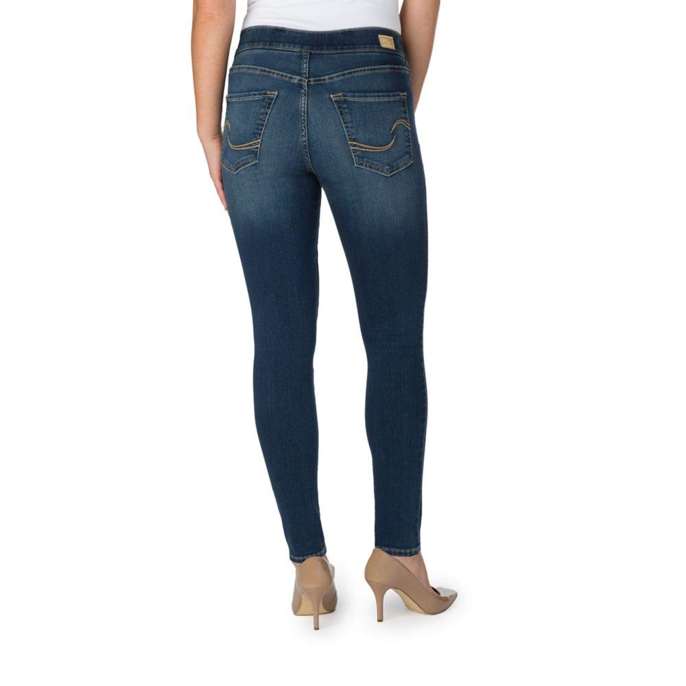 Mua Signature by Levi Strauss & Co. Gold Label Women's Totally Shaping  Pull-On Skinny Jeans (Standard and Plus) trên Amazon Mỹ chính hãng 2023 |  Giaonhan247