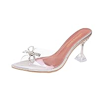 Chunky Block High Heels for Women, Transparent Strappy Open Toe Shoes Heels for Women