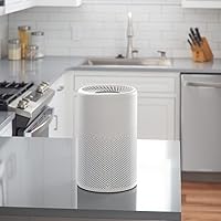 Sani-T Compact HEPA-11 Air Purifier with Touch Screen and 3000 Hour Filter Lifetime SAN-385