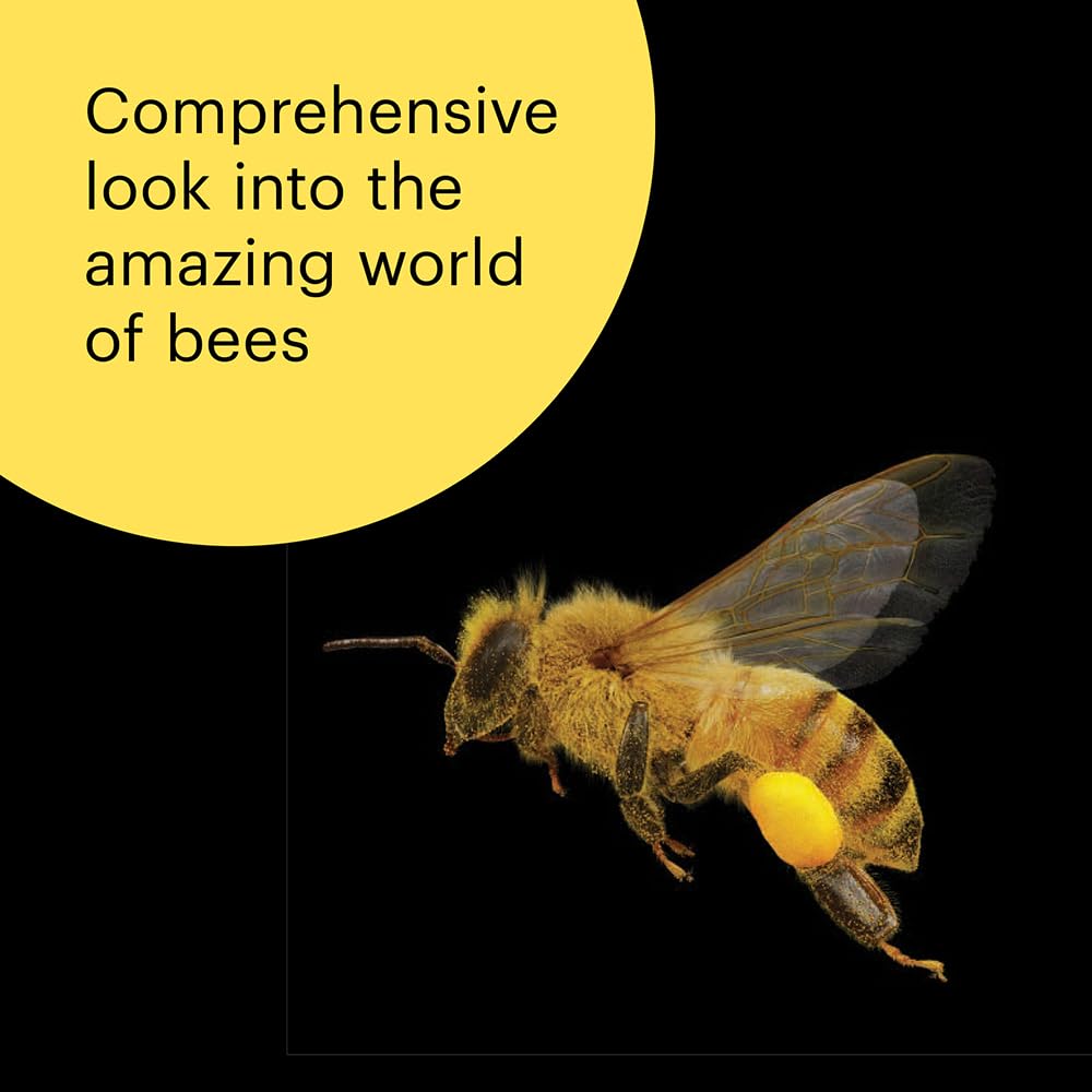 What the Bees See: A Honeybee's Eye View of the World