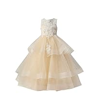 Jewel Lace Flower Girls Dress for Wedding 3D Floral Flowers Girls Pageant Prom Dresses for Kids Long