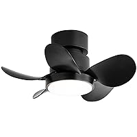 22 Inch Ceiling Fan with Lights, Small Ceiling Fan with Light Flush Mount,Dimmable,Reversible, Low Profile Ceiling Fan with Remote Control for Bedroom Kitchen (Black)
