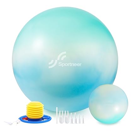Sportneer Exercise Ball - Extra Thick Yoga Ball with Barre Ball and Quick Pump - Anti-Burst and Slip Resistant Fitness Ball Chair for Balance, Home Gym, Stability, Pregnancy and Physical Therapy