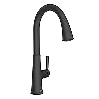 American Standard 9319310.243 Renate Pull-Down Kitchen Faucet with sprayer Matte Black