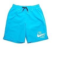 Nike Mens Standard Logo Solid Lap 9 Volley Short Swim Trunk, Laser Blue, L