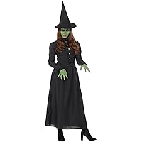 Storytime Evil Wicked Witch Women's Costume