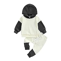 Toddler Baby Boy Long Sleeve Solid Hoodies Sweatshirt Pants Outfit Set 2 Piece Sweatsuit Fall Clothes
